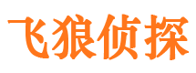 乐清外遇调查取证